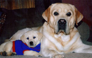 codyandcooper.jpg